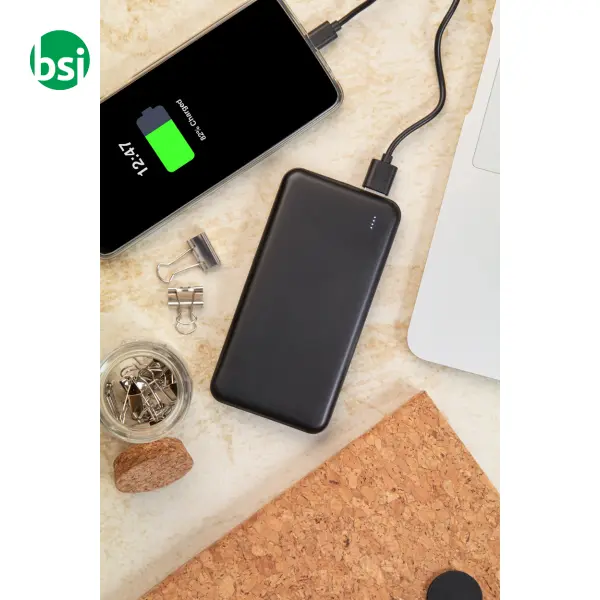 Power bank in RABS RABOBANK XL -  11