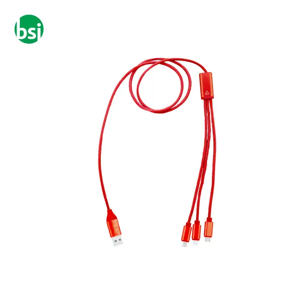 Cavo ricarica USB RALONG -  10