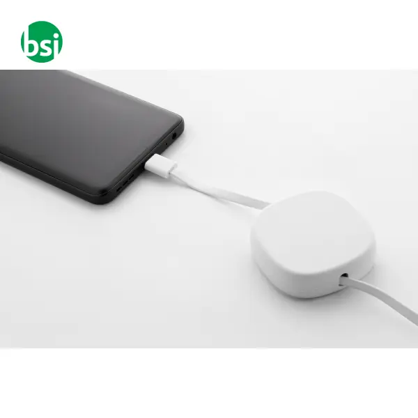 Caricabatterie USB-C da 60W in plastica riciclata CABSLE -  6