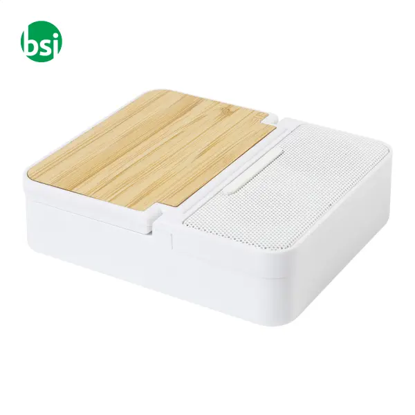 Cassa wireless con tuo logo HOBOFI -  2