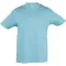 Magliette bambini con stampa logo REGENT Sol's - Anteprima 3