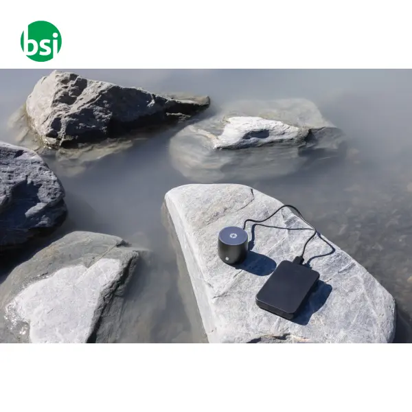 Powerbank 5.000 mAh Boostcore -  10