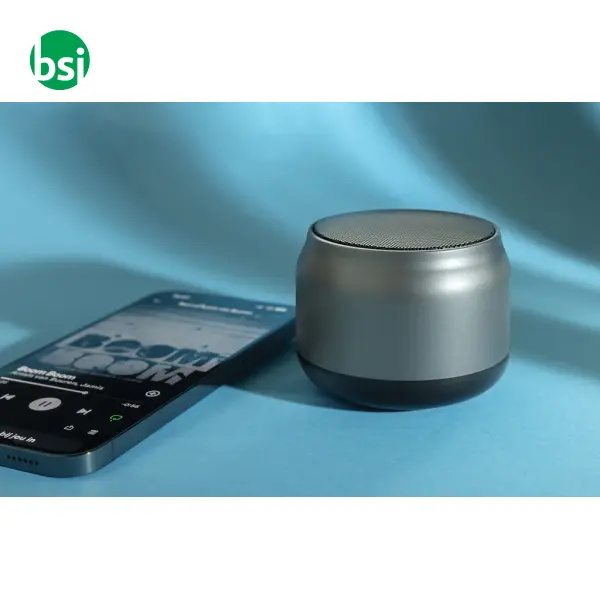 Speaker 3WBeatBuddy in plastica RCS -  11