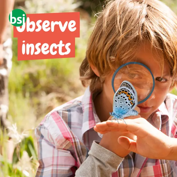 Giocattolo educativo per bambini - My First Science Kit I -  6