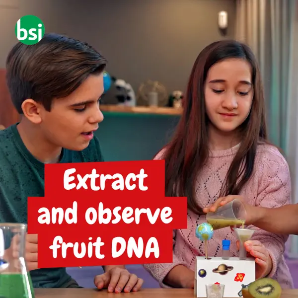 Giocattolo educativo per bambini - 6 in 1 -  10
