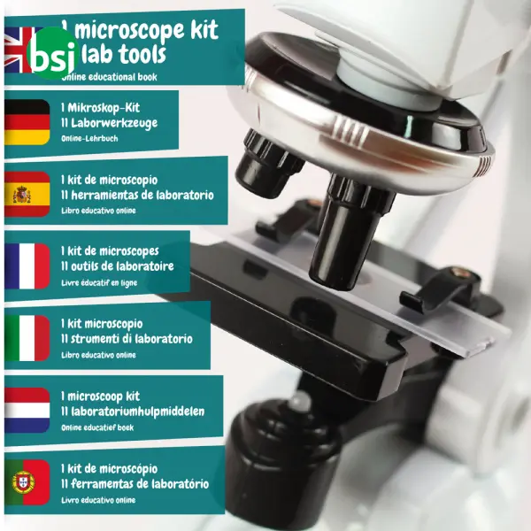 Gioco educativo per bambini - MICROSCOPE -  2