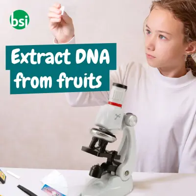 Gioco educativo per bambini - MICROSCOPE - Immagine 5