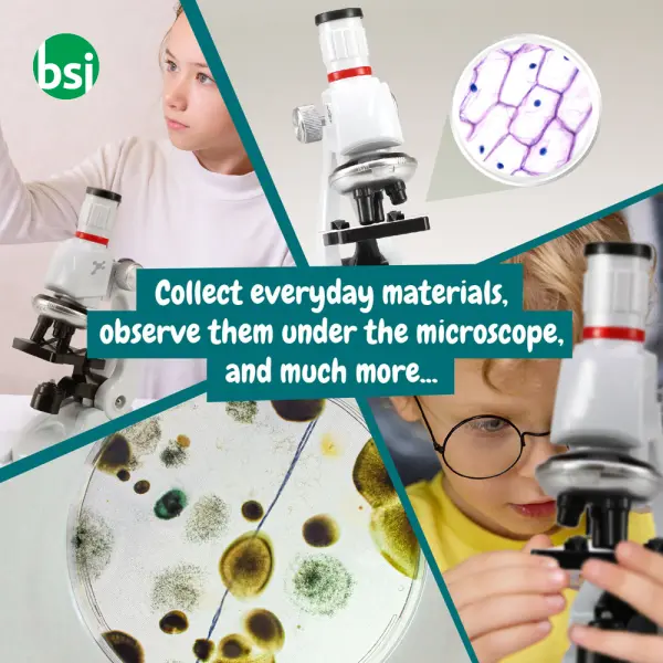 Gioco educativo per bambini - MICROSCOPE -  6