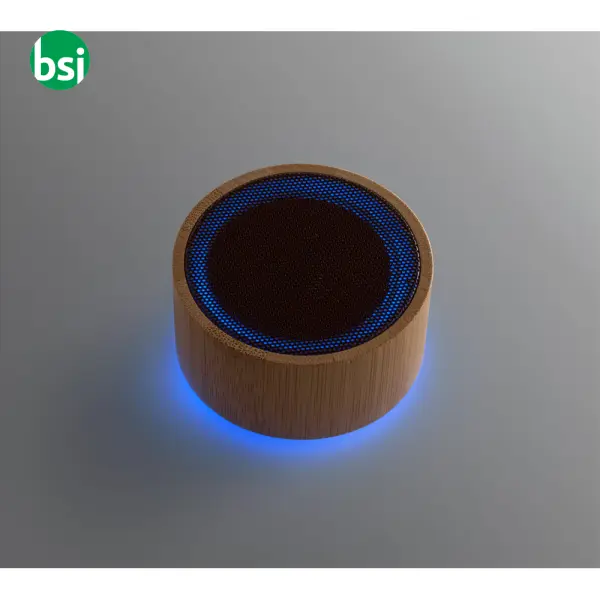 Altoparlante portatile 3W autonomia 2 ore - ARBER -  3