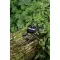 Cuffie wireless 7 ore di durata - CAUBY - Anteprima 9