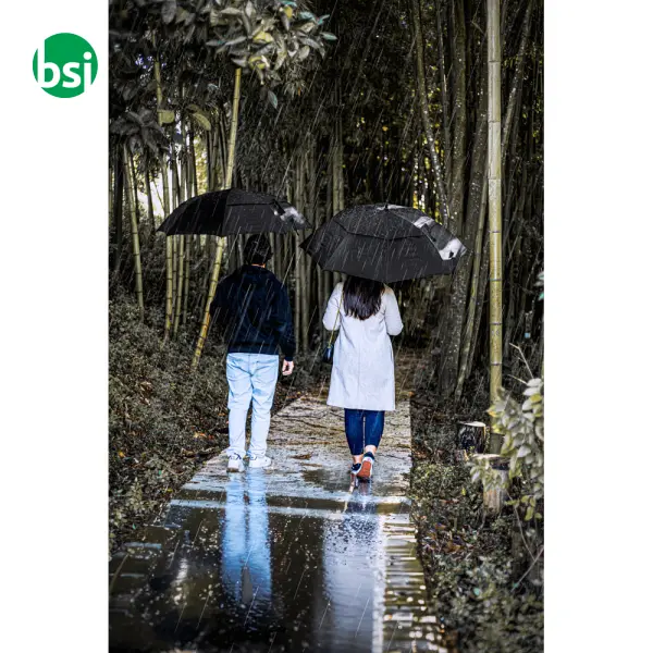 Ombrello automatico da 27,5 in pongee - GAVIN -  7