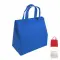 Borsa frigo in TNT laminato chiusura con velcro - Anteprima 1