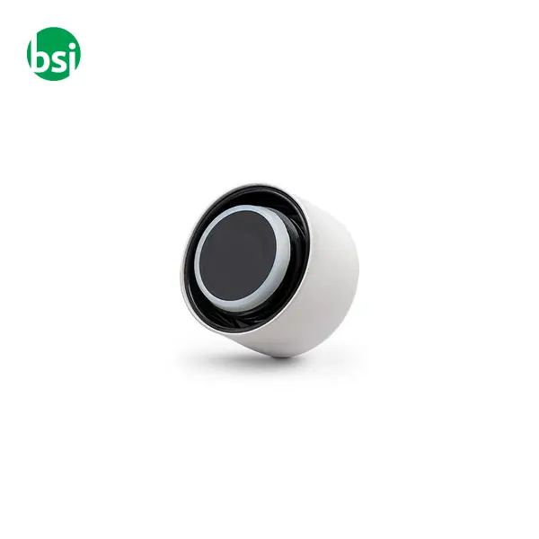 Bottiglia termica personalizzabile in acciaio inossidabile -  12