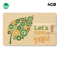 USB 4GB Flash Drive - Credit Card Paglia