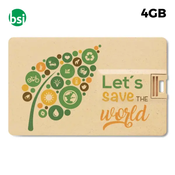 USB 4GB Flash Drive - Credit Card Paglia -  1