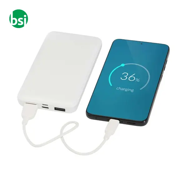 Power bank da 10.000 mAh e 10 W Intan -  7
