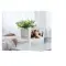 Cornice per foto digitali Wi-Fi Prixton Prado Frameo - Anteprima 4