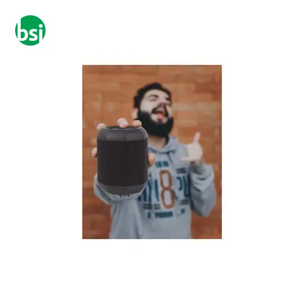 Speaker Prixton Dance Box -  7