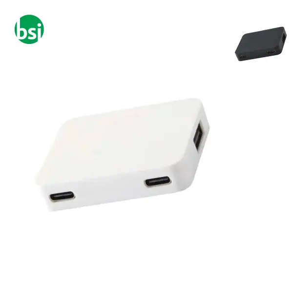 Hub USB a 4 porte e doppio ingresso Gaia -  1