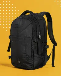 Zaini