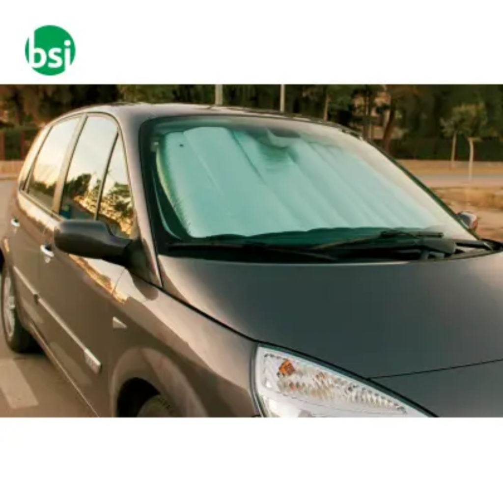 tendina parasole auto